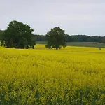 Ferienhaus Skandinavisches In *