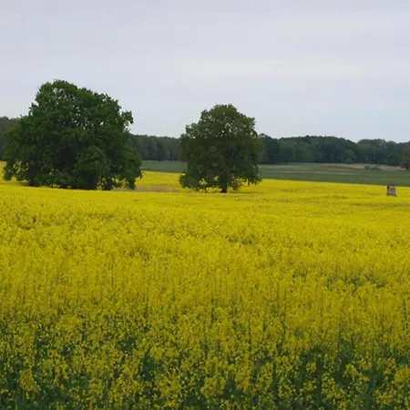 度假居 Skandinavisches In *